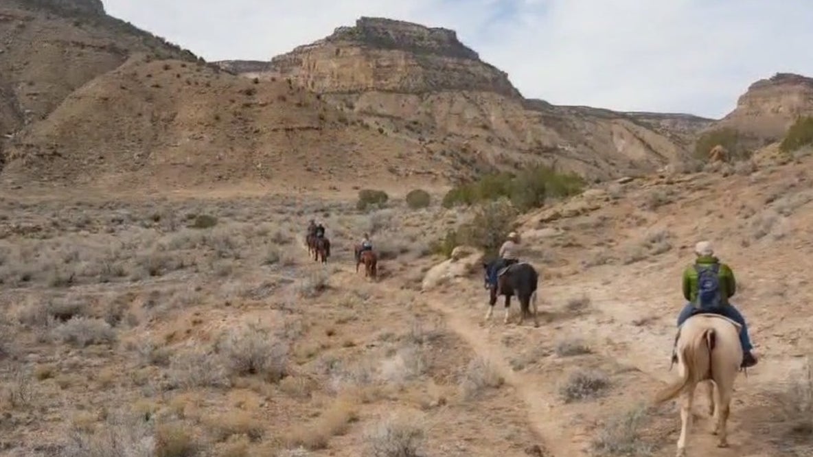 Palisade, Colorado: Austin Travels